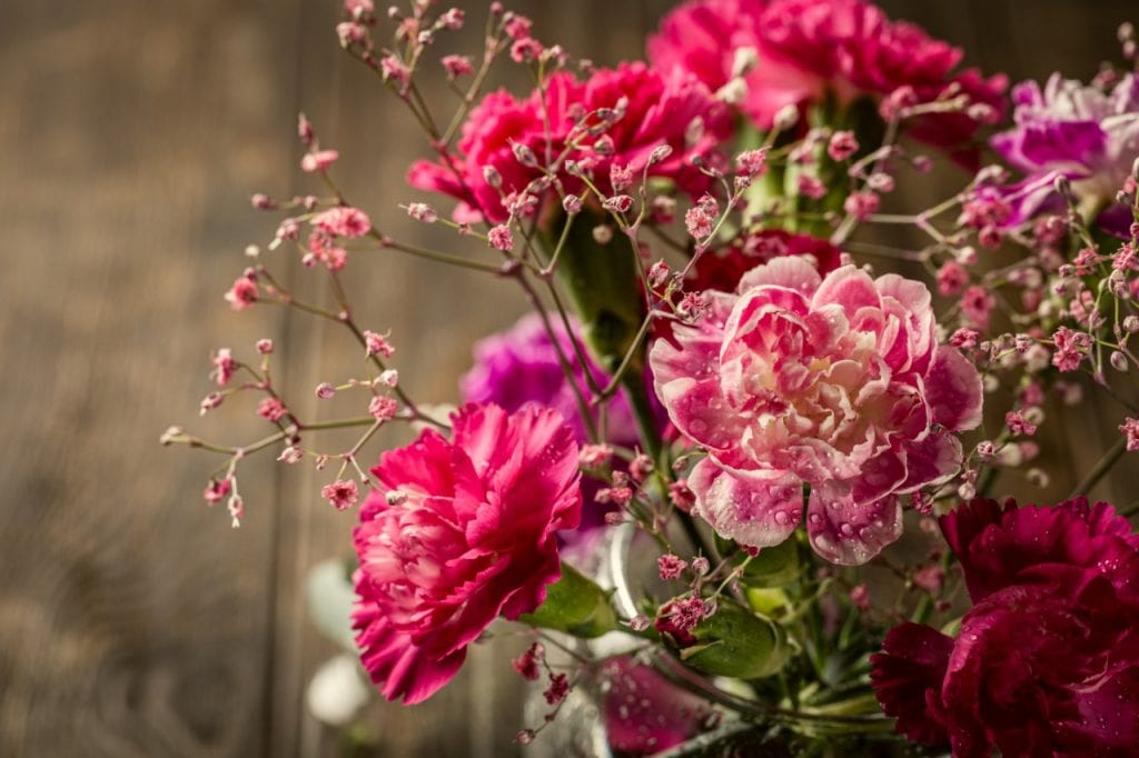 Fragrâncias Fragrâncias