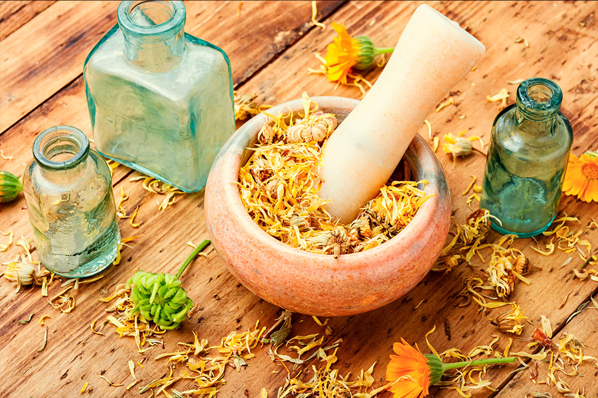 Fragrâncias herbais A FANTÁSTICA FRAGRÂNCIA DOS HERBAIS